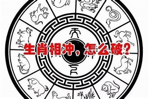 丙子年五行|丙子年是什么意思 丙子年五行属什么